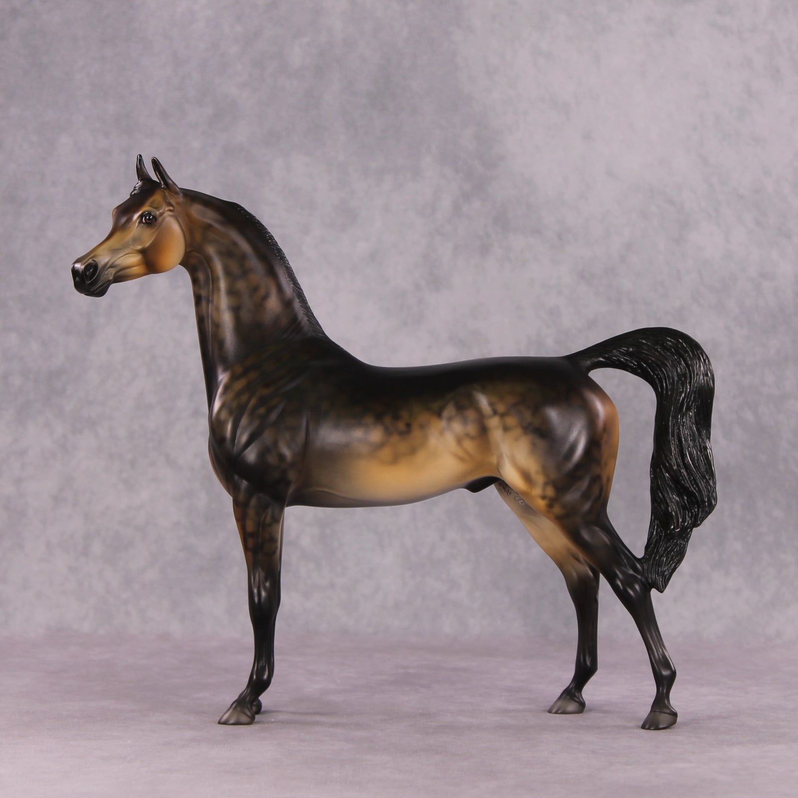 "Potato" OOAK Arabian by Dawn Quick SHCF25OS