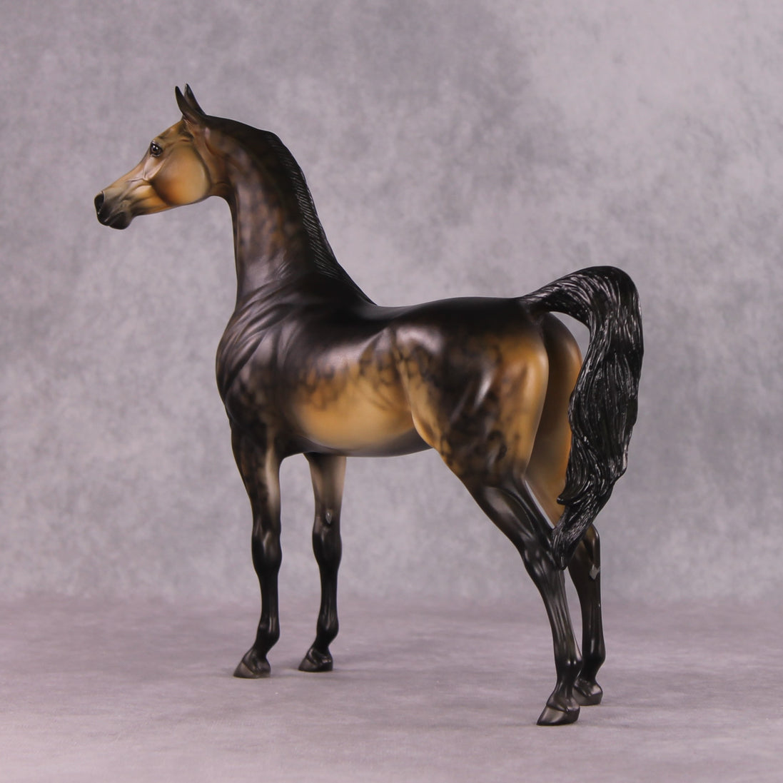 "Potato" OOAK Arabian by Dawn Quick SHCF25OS
