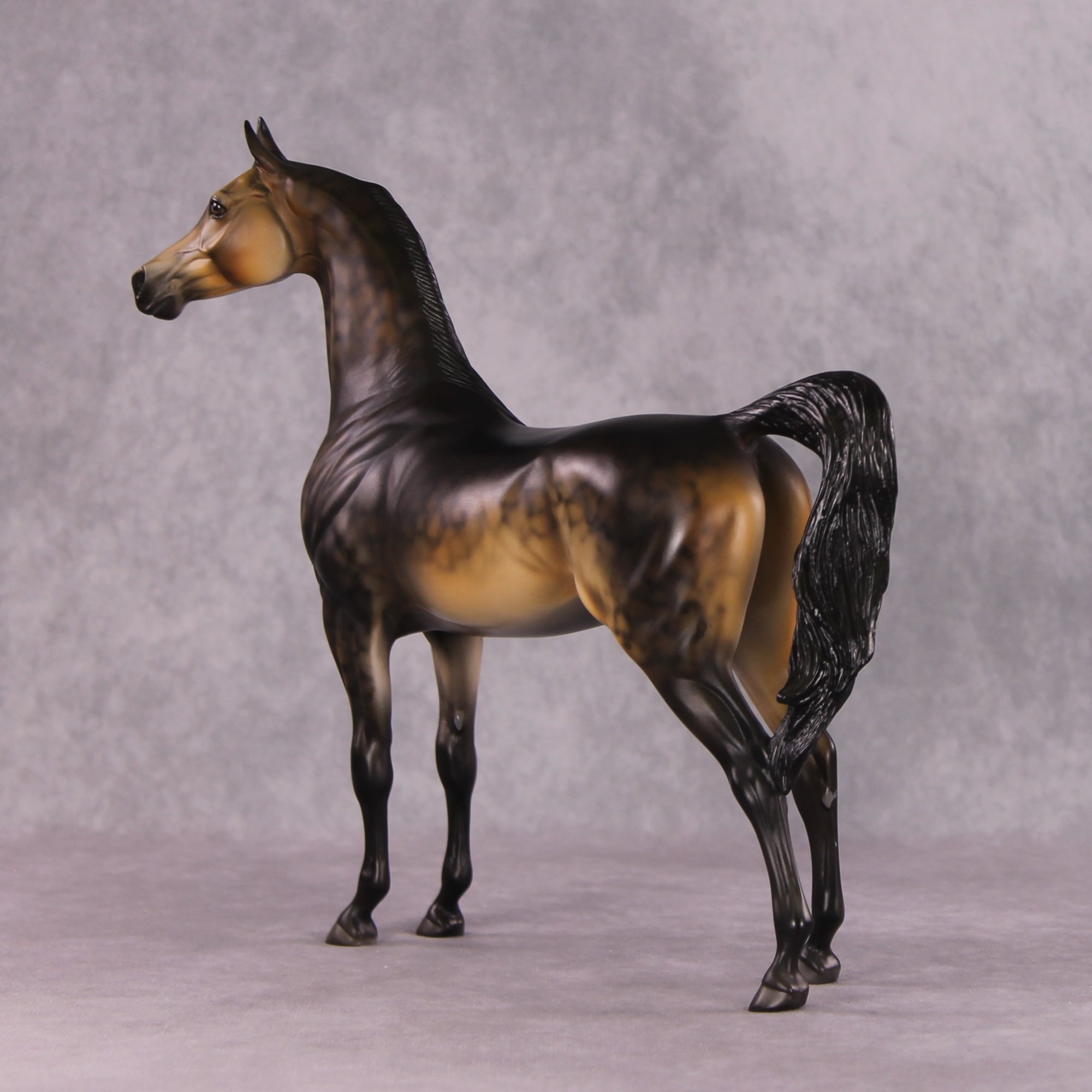 "Potato" OOAK Arabian by Dawn Quick SHCF25OS