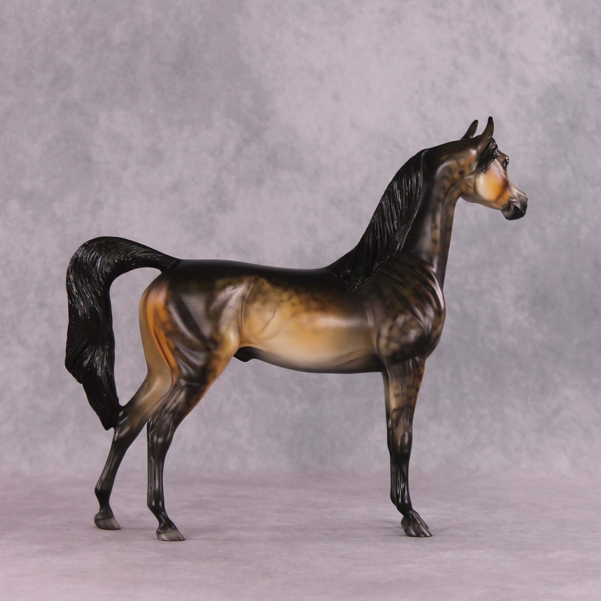 "Potato" OOAK Arabian by Dawn Quick SHCF25OS