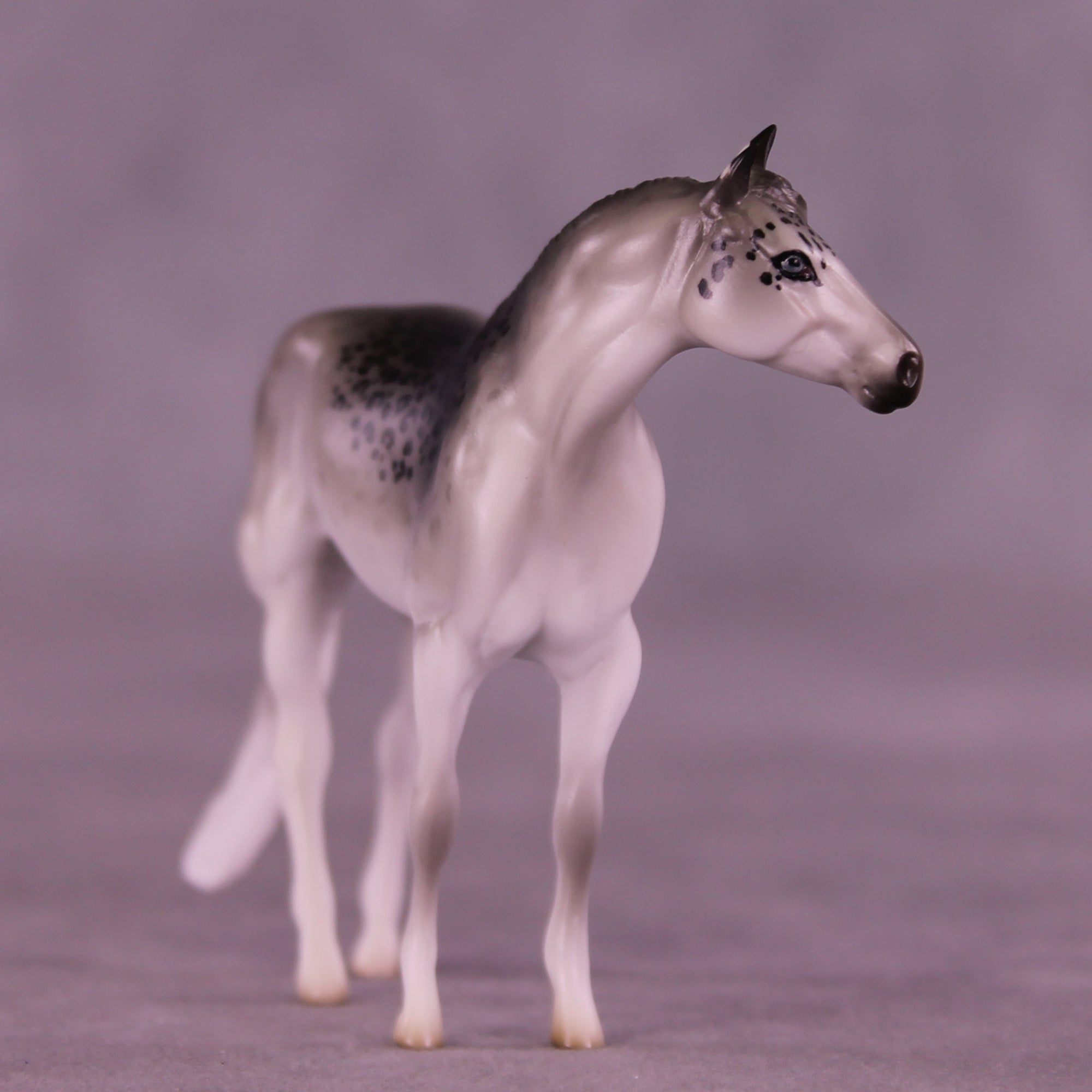 Mini Uncia OOAK EFCM Chip Stock Horse by Jess Hamill &amp; Melanie Miller SCD26