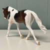 Rhubarb OOAK Bay Tobiano Warmblood Pebble By Jess Hamill EQ24