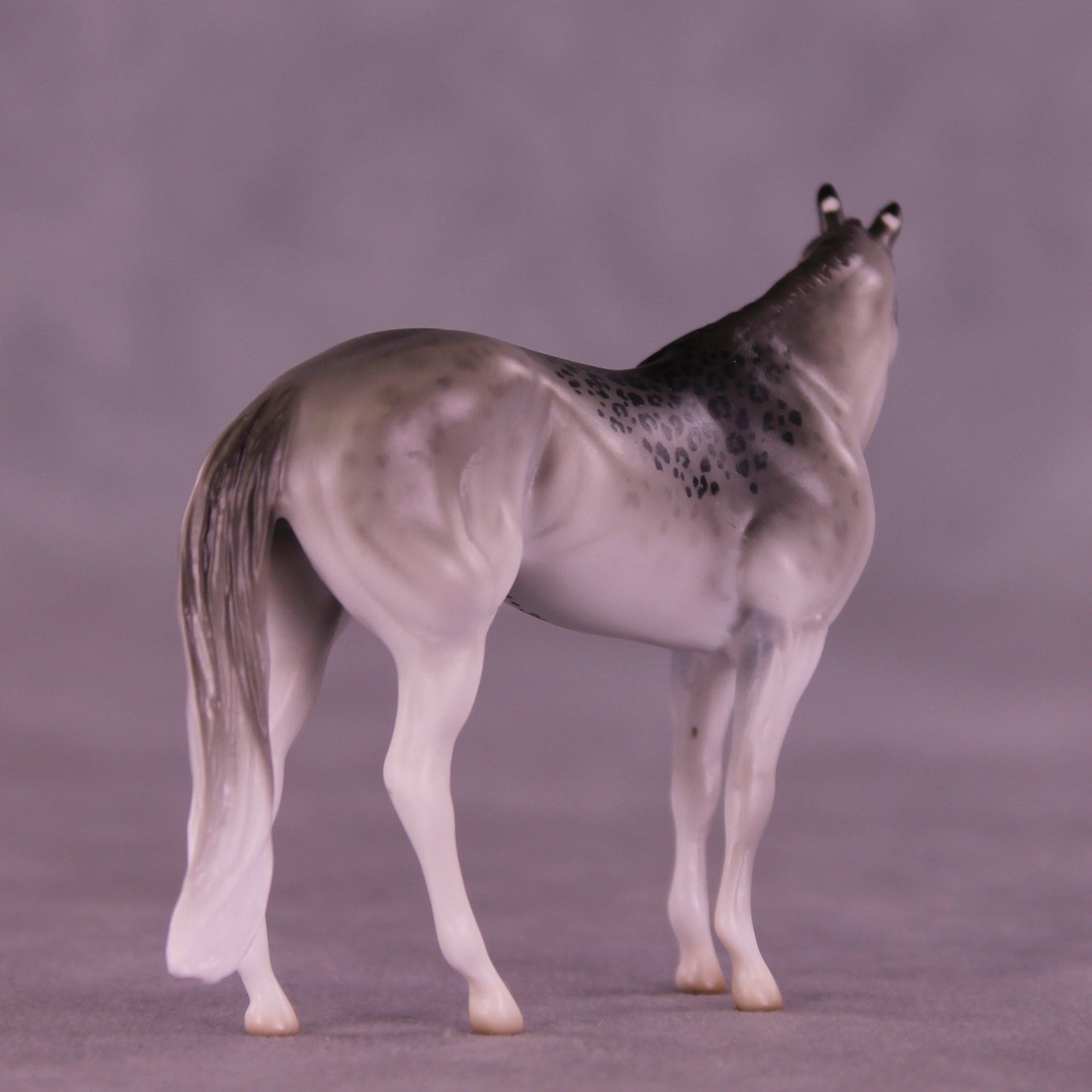 Mini Uncia OOAK EFCM Chip Stock Horse by Jess Hamill &amp; Melanie Miller SCD26