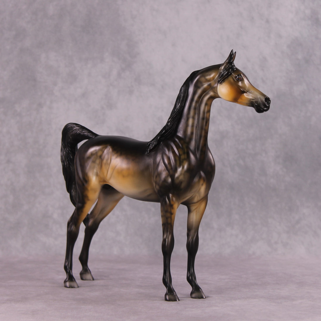 "Potato" OOAK Arabian by Dawn Quick SHCF25OS