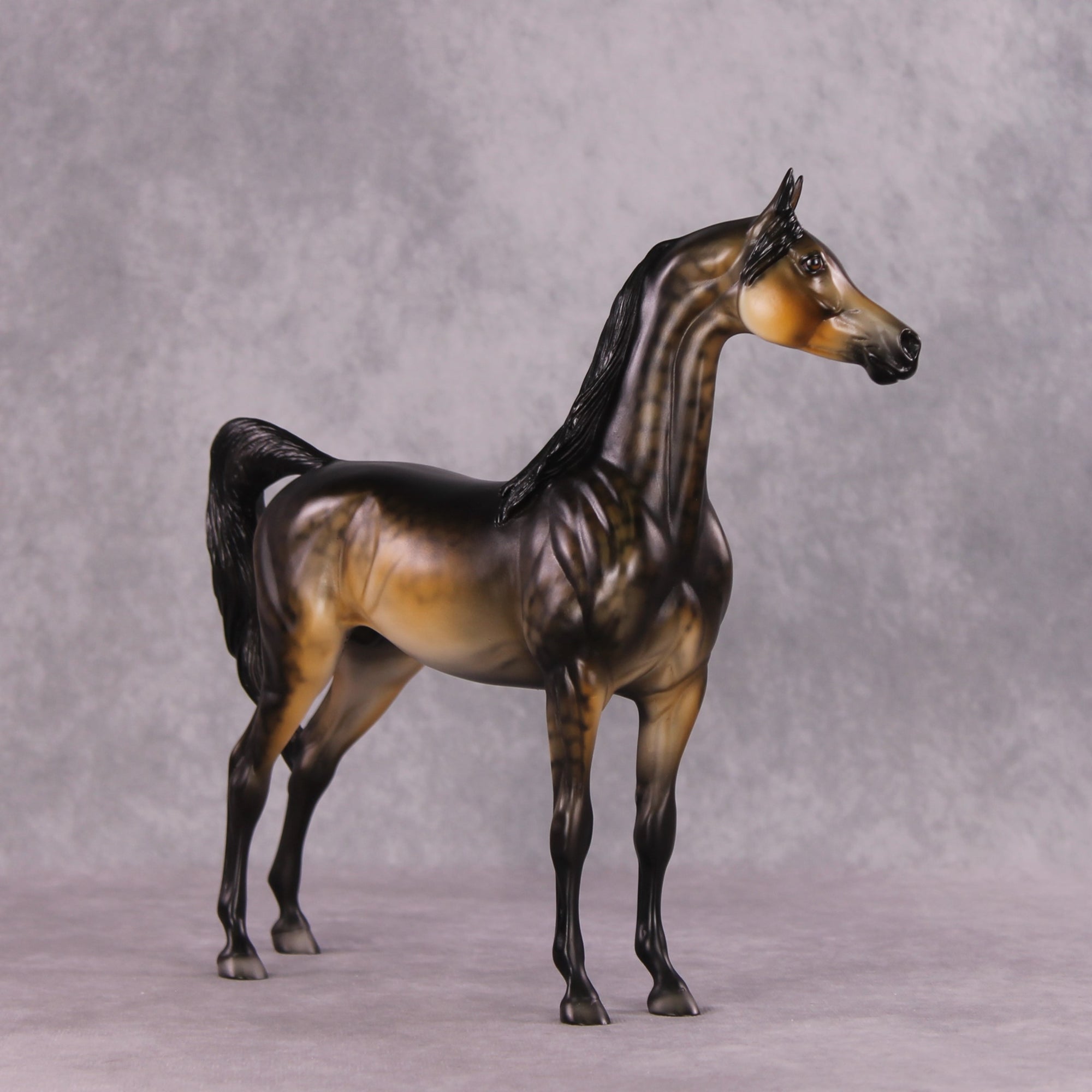 "Potato" OOAK Arabian by Dawn Quick SHCF25OS