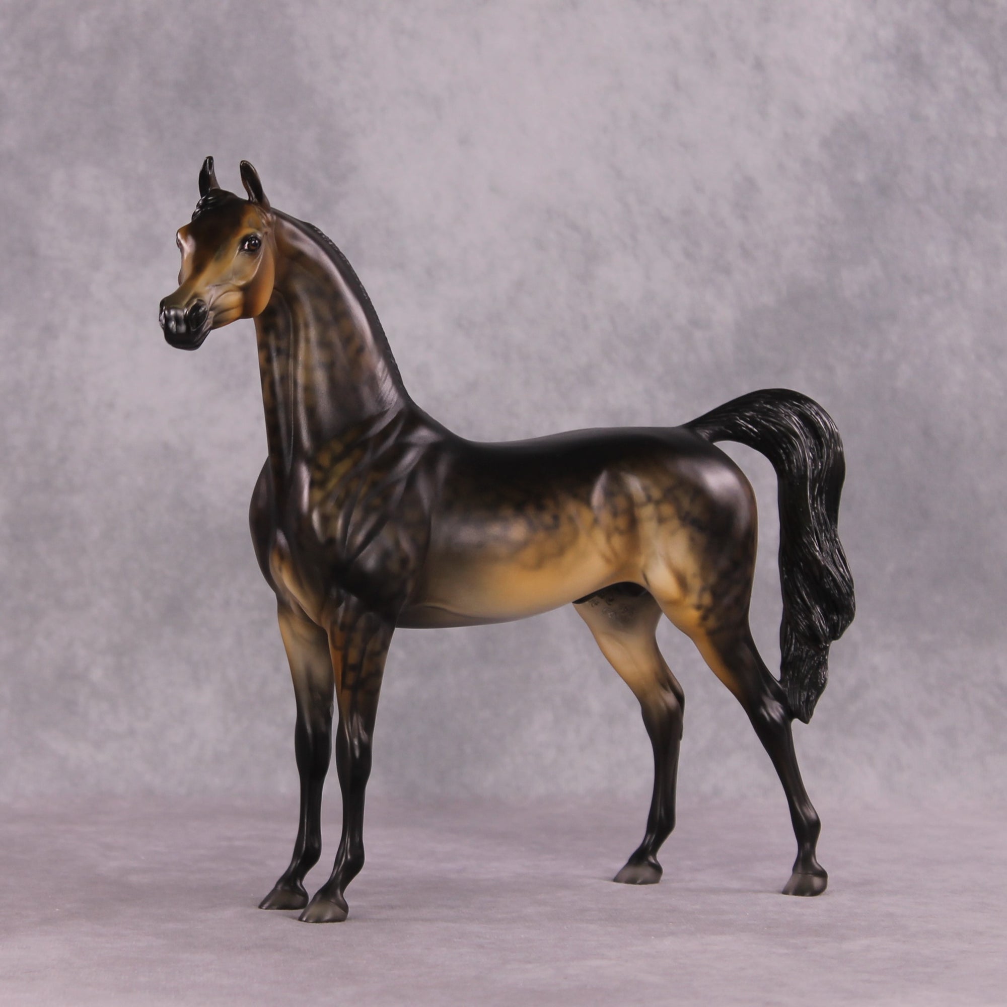 "Potato" OOAK Arabian by Dawn Quick SHCF25OS