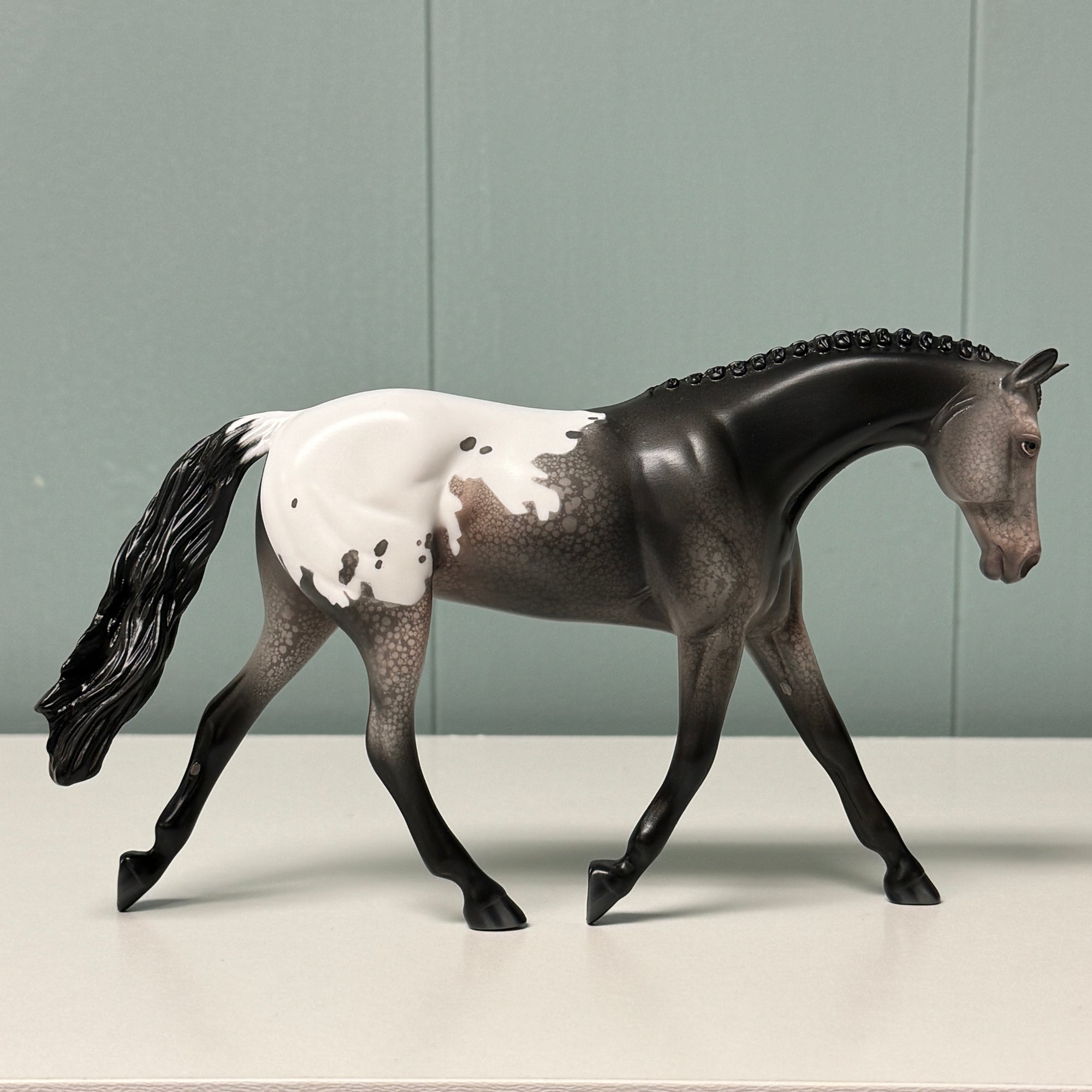 Poppyseed OOAK Black Appaloosa Warmblood Pebble By Jess Hamill EQ24