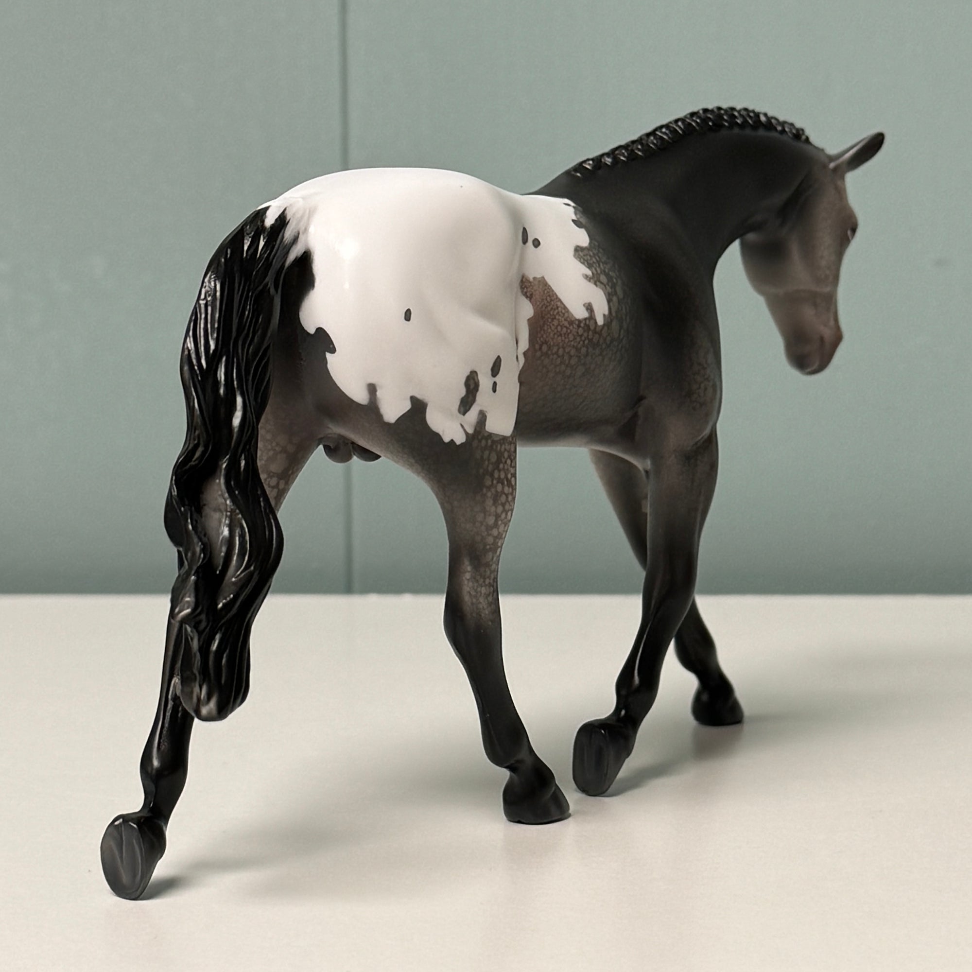 Poppyseed OOAK Black Appaloosa Warmblood Pebble By Jess Hamill EQ24