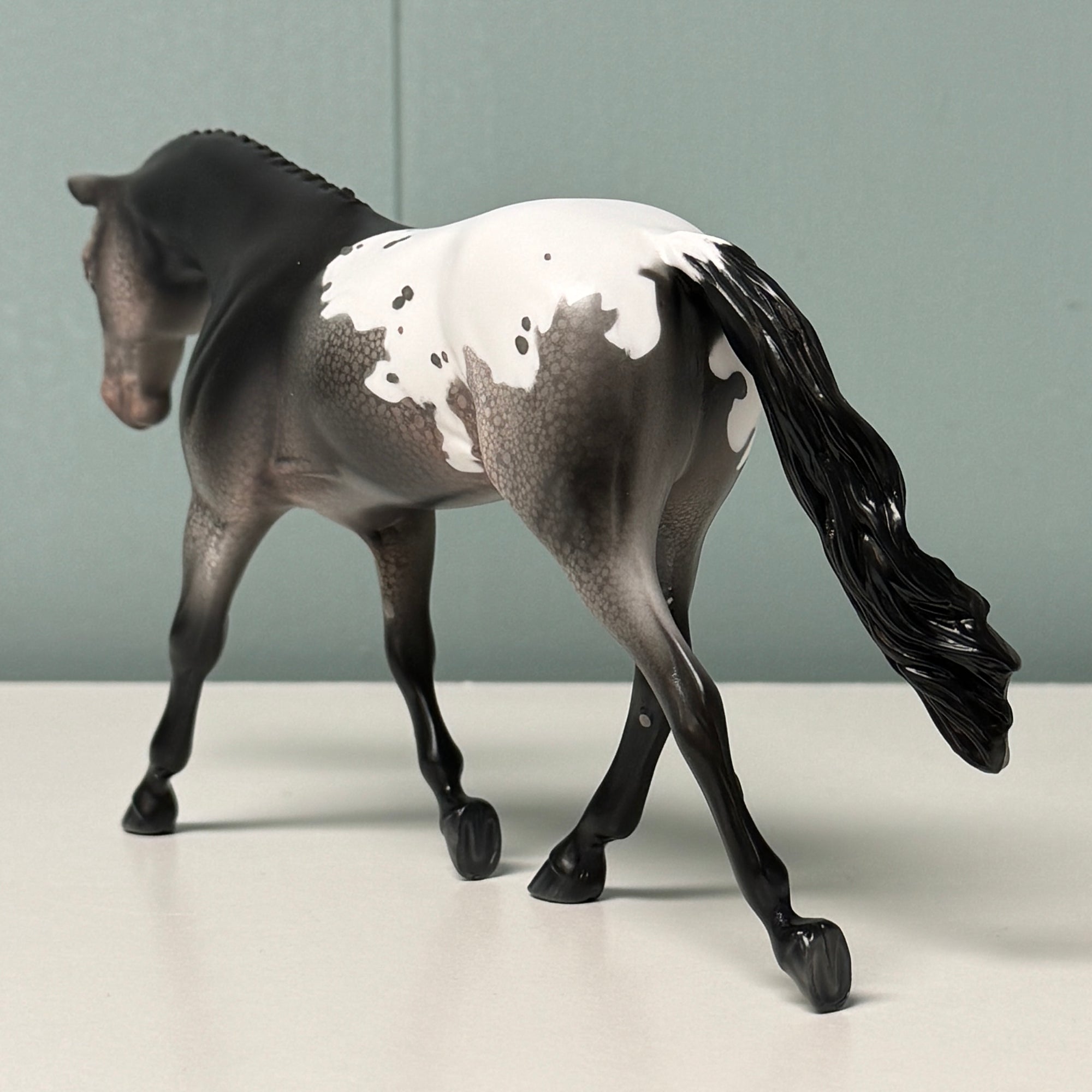 Poppyseed OOAK Black Appaloosa Warmblood Pebble By Jess Hamill EQ24