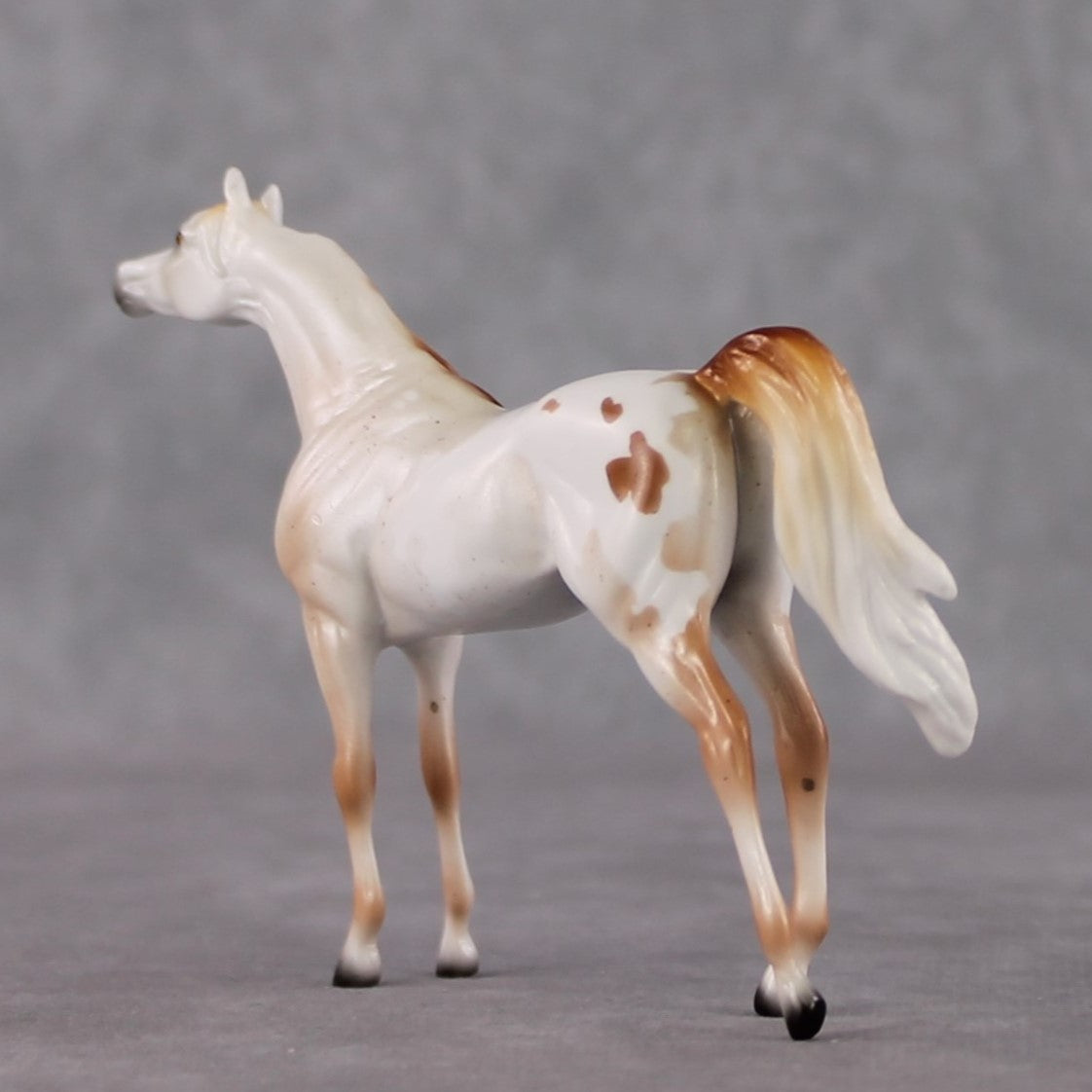 Arabian Chip Grab Bag - January 2025 We've Got History Shakespeare Chips Painted By Ellen Robbins CL25