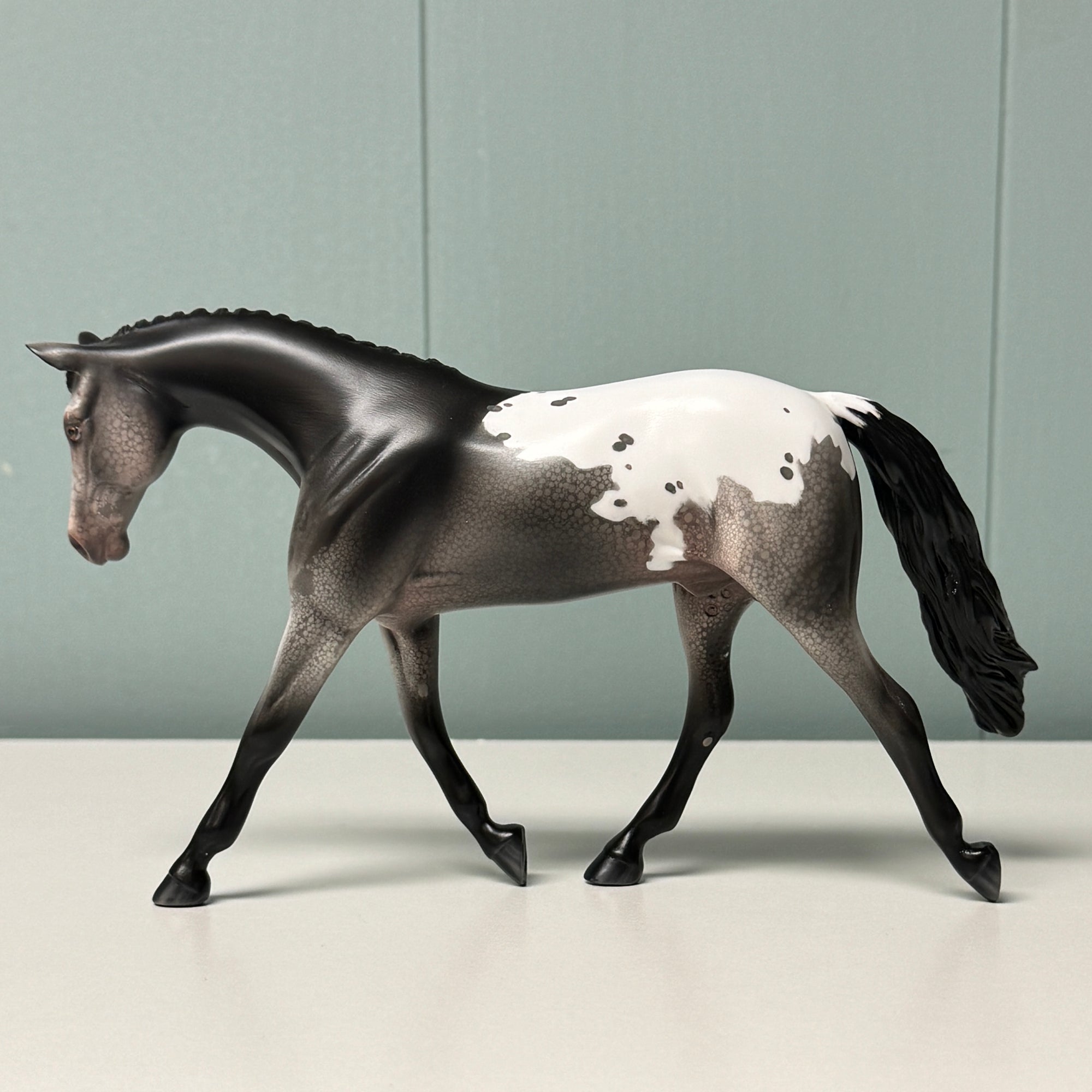 Poppyseed OOAK Black Appaloosa Warmblood Pebble By Jess Hamill EQ24