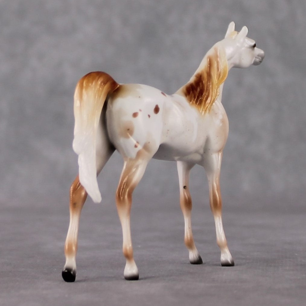 Arabian Chip Grab Bag - January 2025 We've Got History Shakespeare Chips Painted By Ellen Robbins CL25