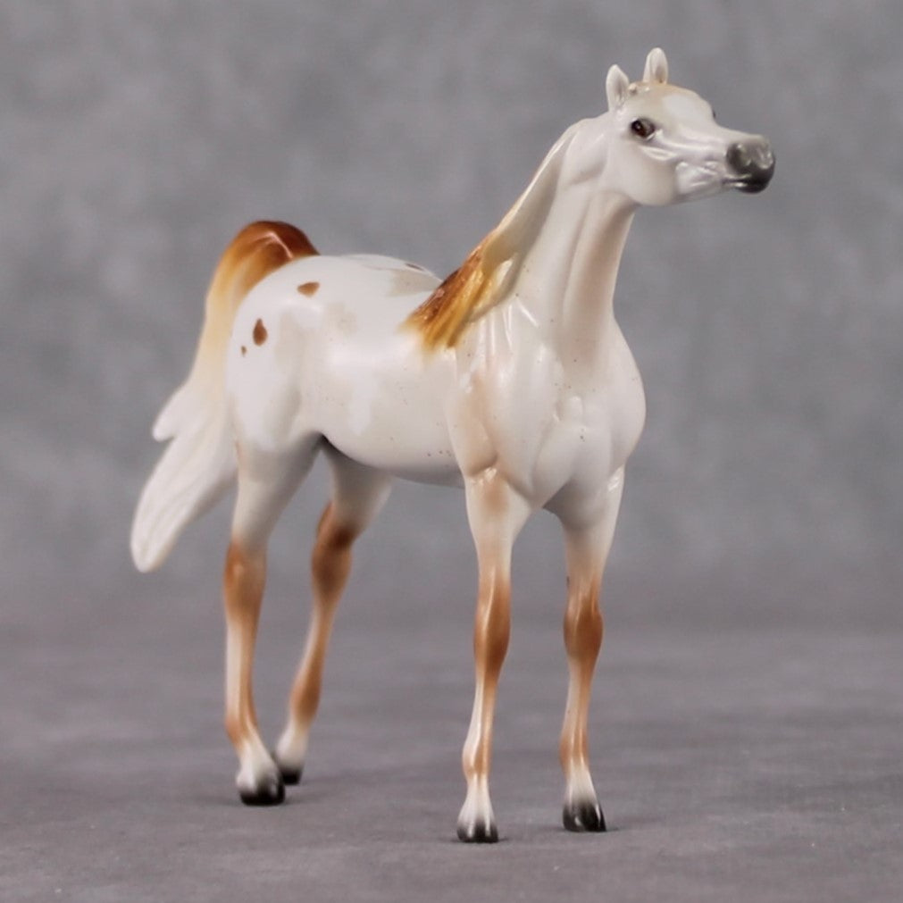 Arabian Chip Grab Bag - January 2025 We've Got History Shakespeare Chips Painted By Ellen Robbins CL25