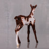 Cheesecake OOAK  Bay Chip Foal By Andrea Thomason LHS24 MHP