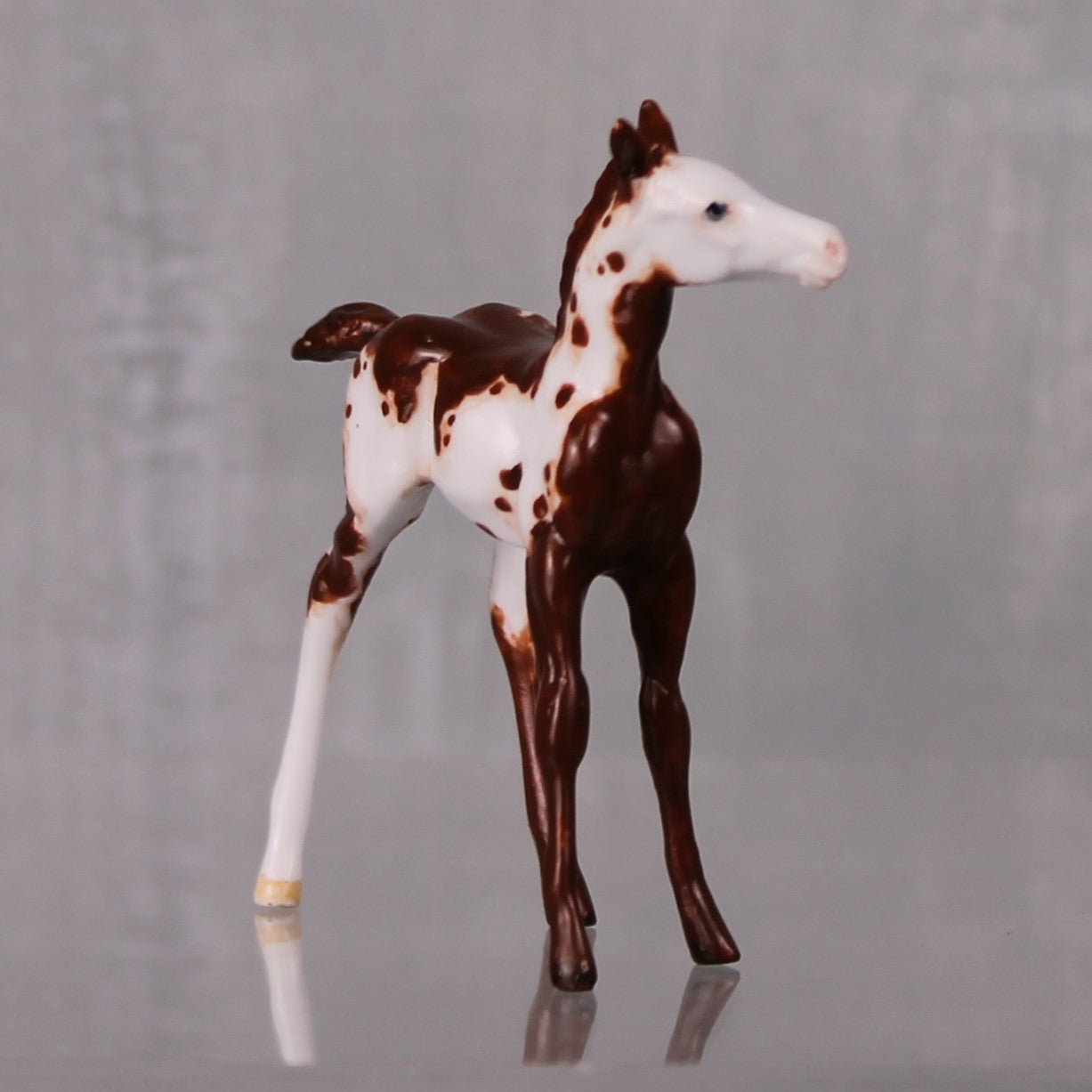 Cheesecake OOAK  Bay Chip Foal By Andrea Thomason LHS24 MHP