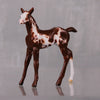 Cheesecake OOAK  Bay Chip Foal By Andrea Thomason LHS24 MHP