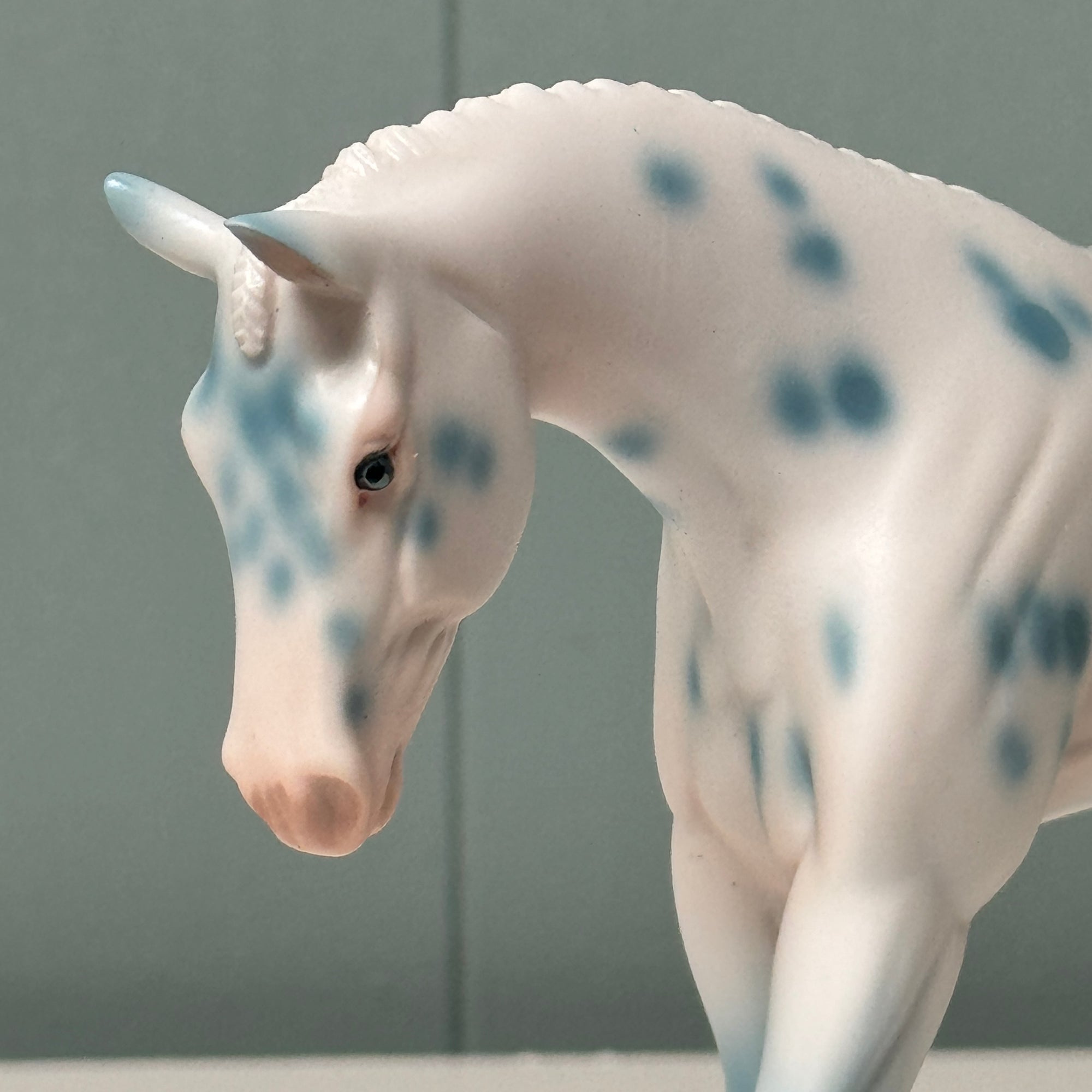 Trafalgar OOAK Deco Blue Leopard Appaloosa Warmblood Pebble By Jess Hamill EQ24
