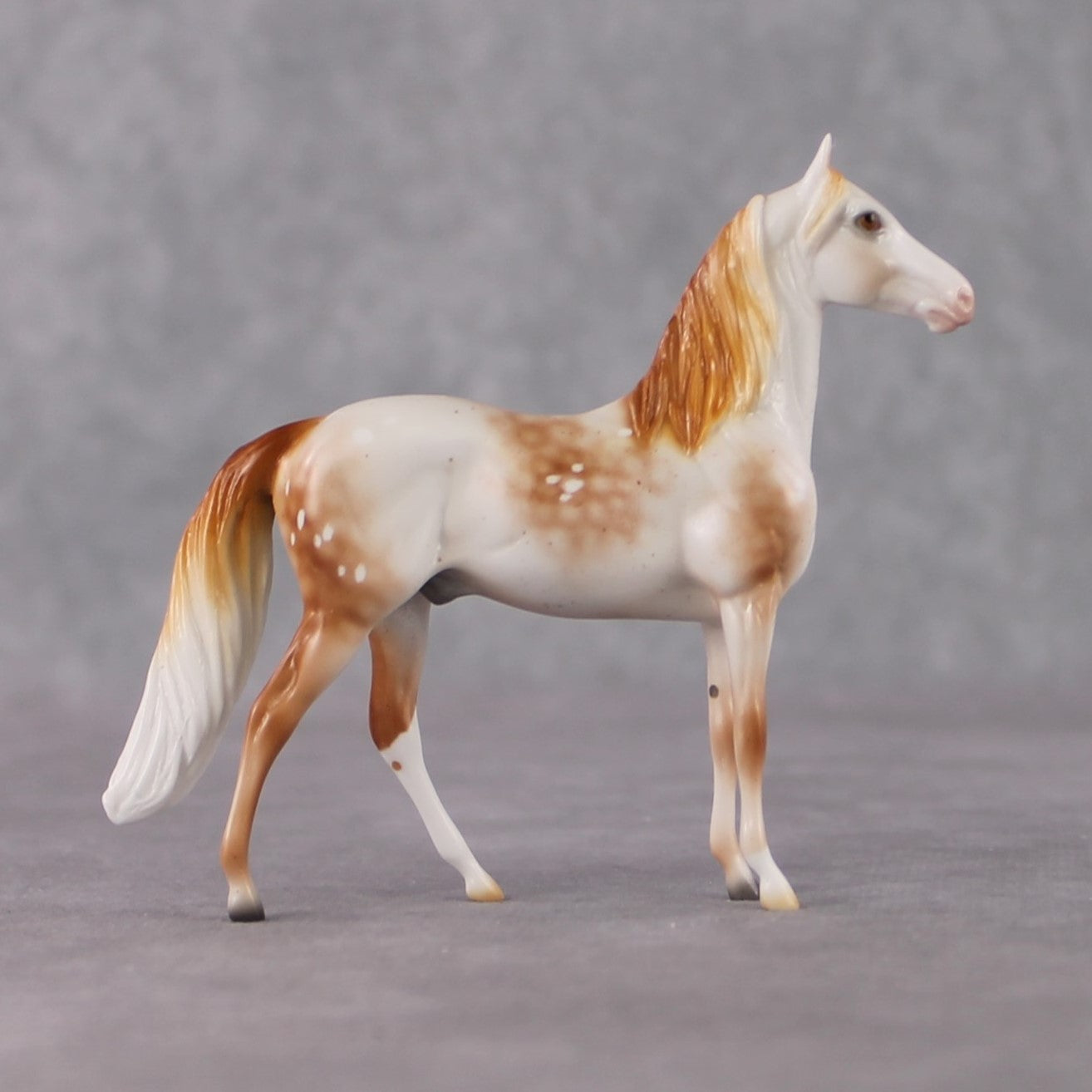 Morgan Chip Grab Bag - January 2025 We've Got History Shakespeare Chips Painted By Ellen Robbins CL25