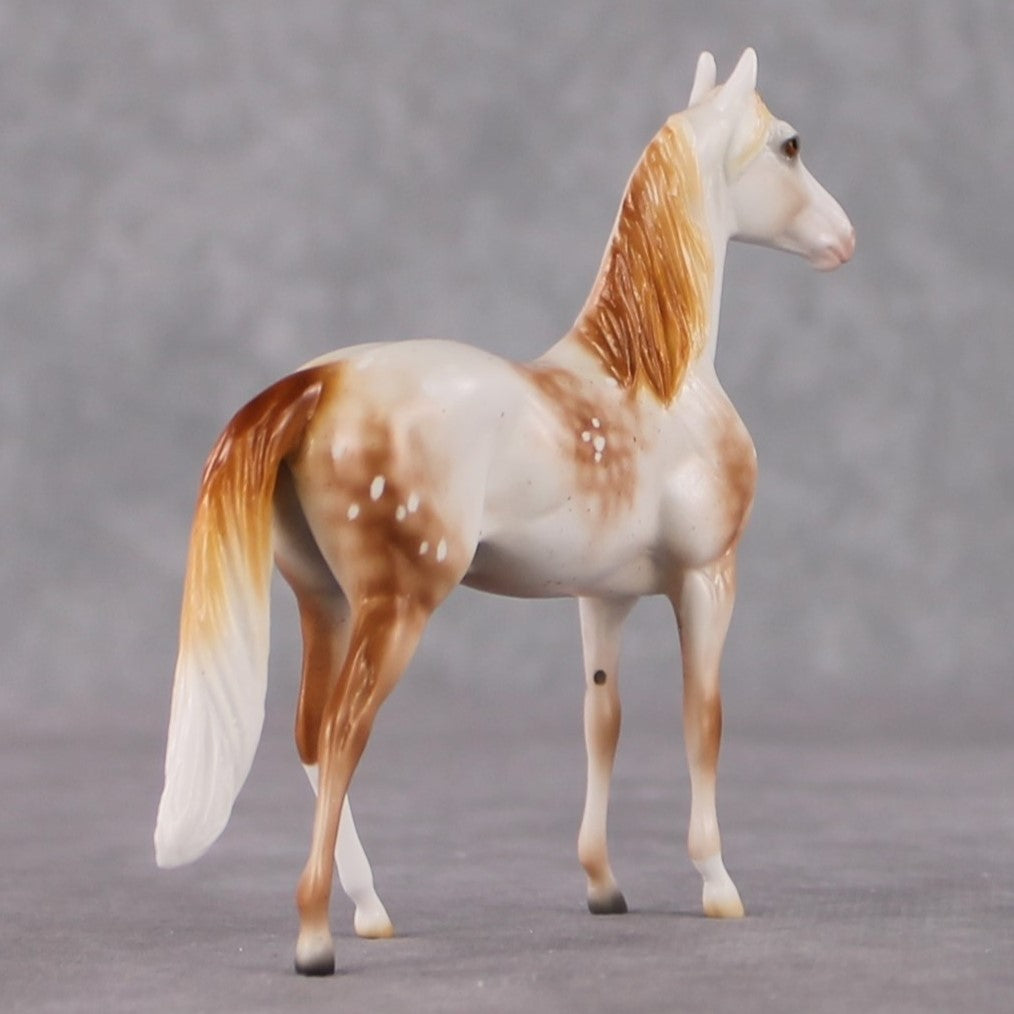 Morgan Chip Grab Bag - January 2025 We've Got History Shakespeare Chips Painted By Ellen Robbins CL25