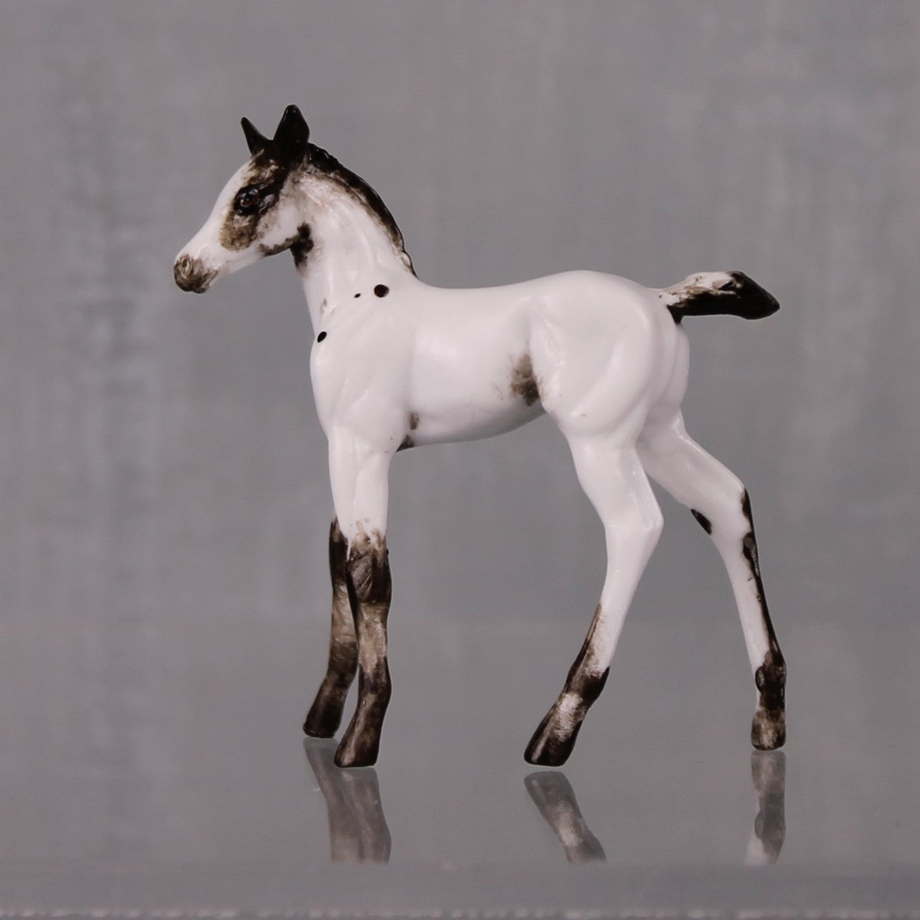 Oreo OOAK Customized Few Spot Appaloosa Chip Foal By Andrea Thomason LHS24 MHP