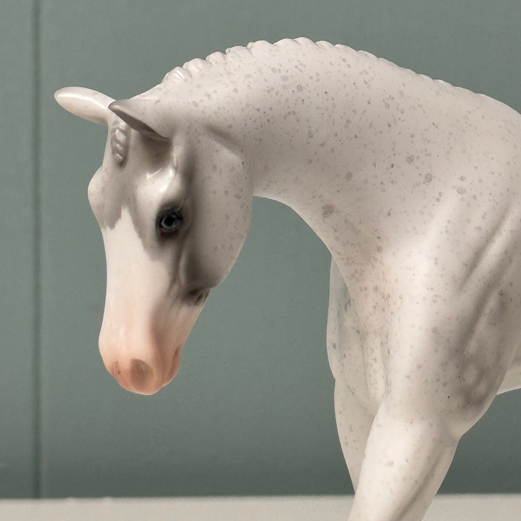 Morgan OOAK Dappled Fleabitten Gray Warmblood Pebble By Jess Hamill EQ24