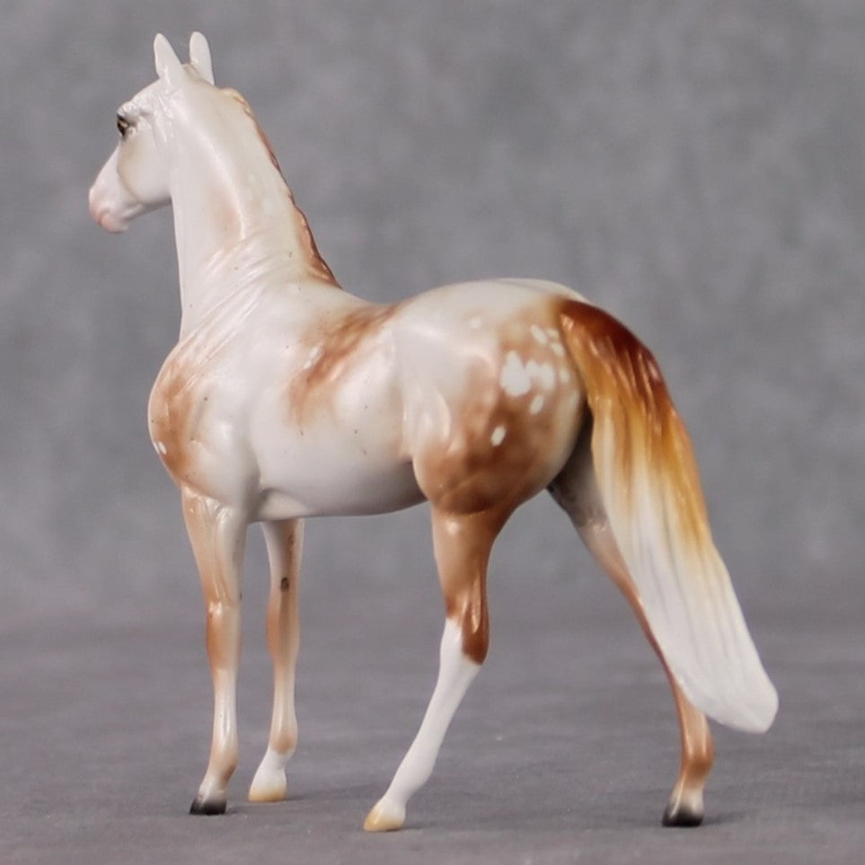 Morgan Chip Grab Bag - January 2025 We've Got History Shakespeare Chips Painted By Ellen Robbins CL25