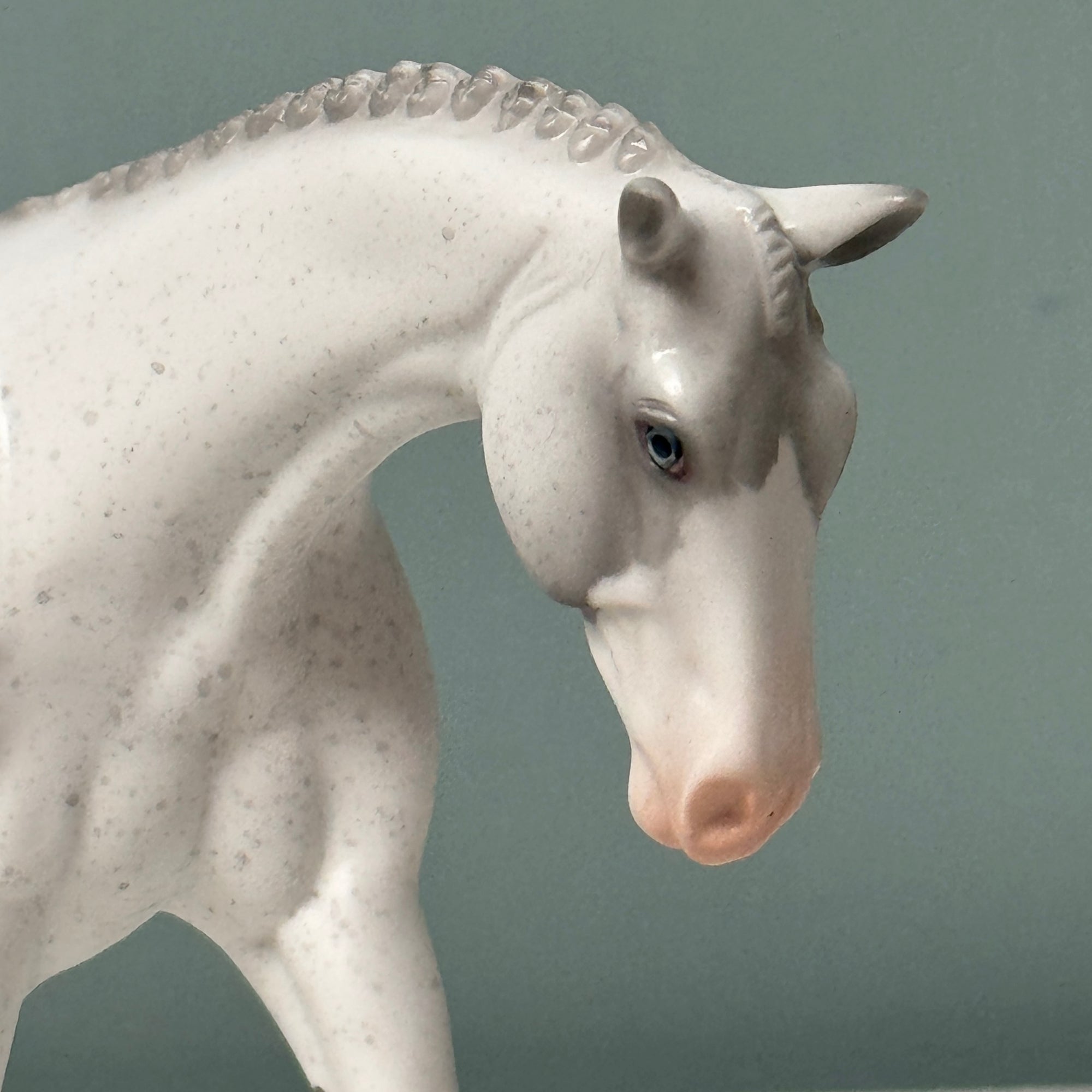 Morgan OOAK Dappled Fleabitten Gray Warmblood Pebble By Jess Hamill EQ24