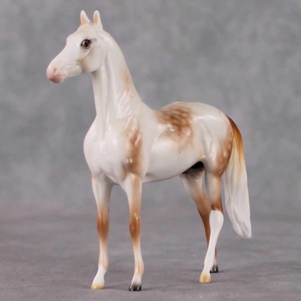 Morgan Chip Grab Bag - January 2025 We've Got History Shakespeare Chips Painted By Ellen Robbins CL25