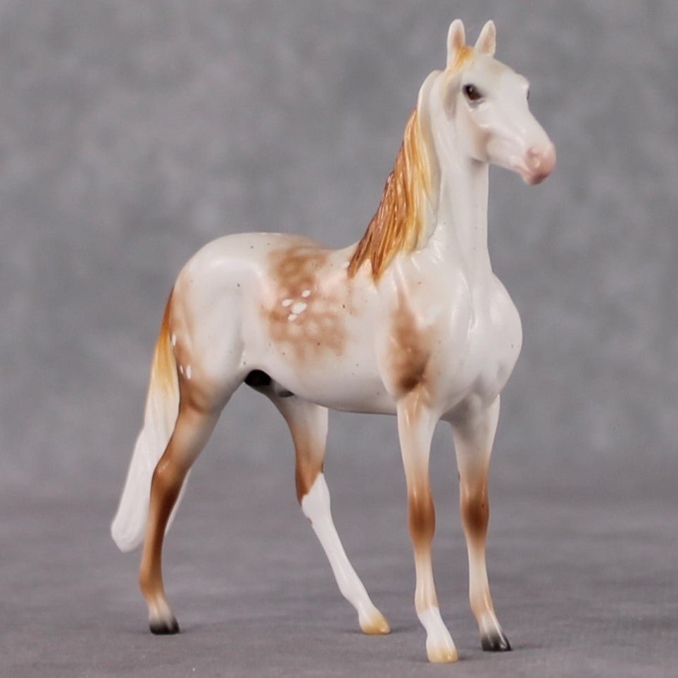 Morgan Chip Grab Bag - January 2025 We've Got History Shakespeare Chips Painted By Ellen Robbins CL25