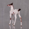 Mango OOAK Customized Appaloosa Chip Foal By Andrea Thomason LHS24 MHP