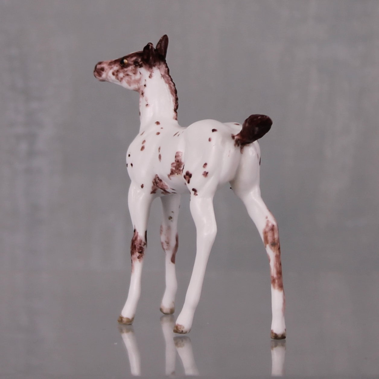 Mango OOAK Customized Appaloosa Chip Foal By Andrea Thomason LHS24 MHP