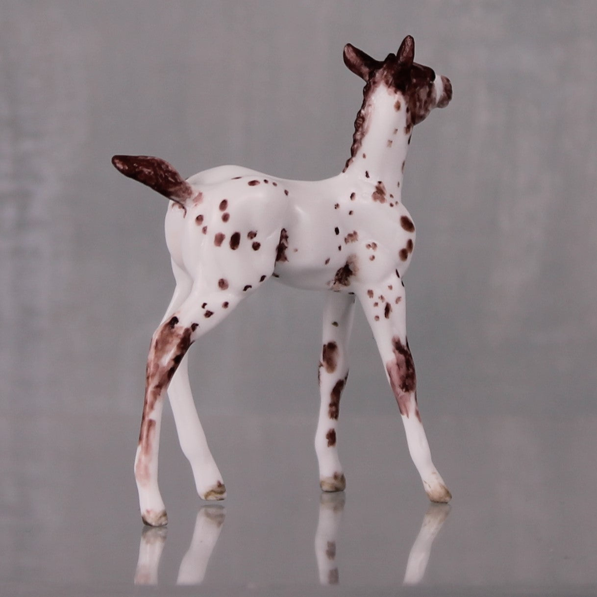 Mango OOAK Customized Appaloosa Chip Foal By Andrea Thomason LHS24 MHP