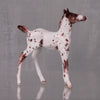 Mango OOAK Customized Appaloosa Chip Foal By Andrea Thomason LHS24 MHP