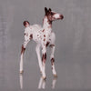 Mango OOAK Customized Appaloosa Chip Foal By Andrea Thomason LHS24 MHP