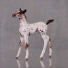 Mango OOAK Customized Appaloosa Chip Foal By Andrea Thomason LHS24 MHP