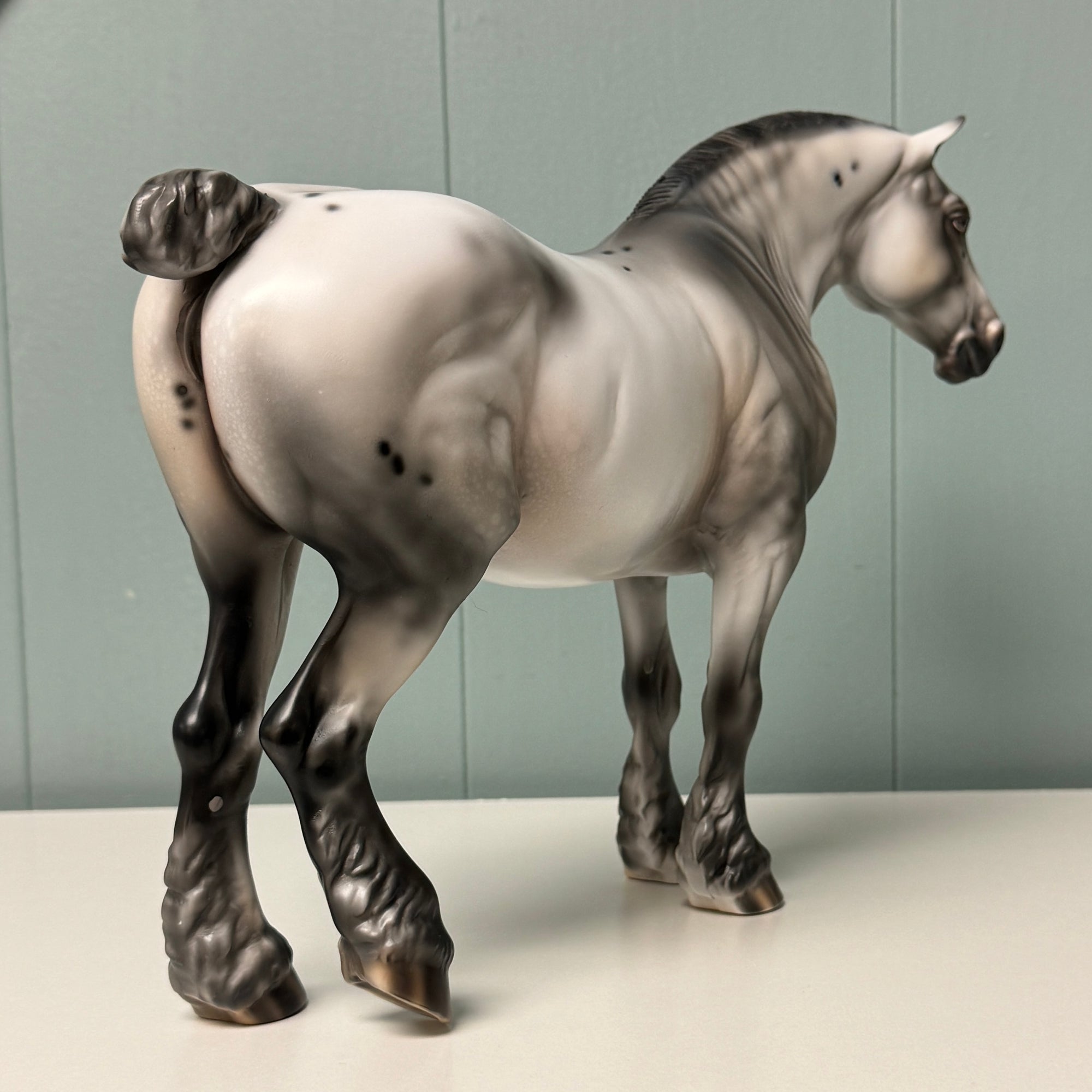 Cinder OOAK Black Few Spot Appaloosa Heavy Draft By Julie Keim EQ24