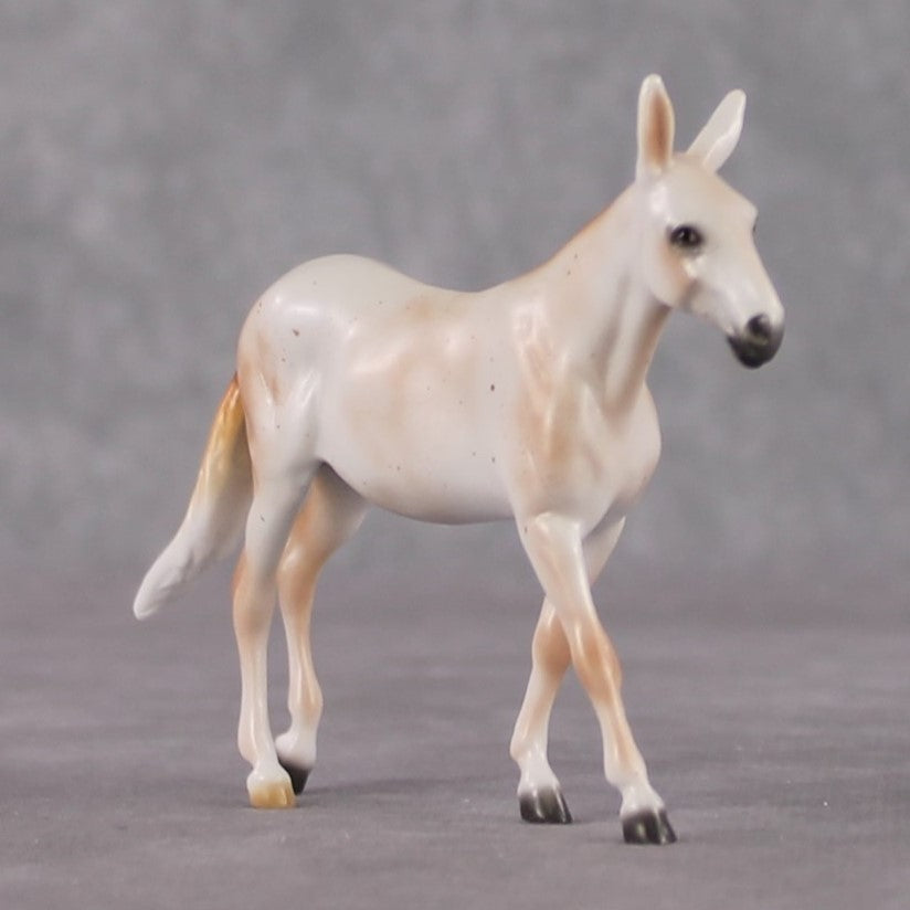 Mule Chip Grab Bag - January 2025 We've Got History Shakespeare Chips Painted By Ellen Robbins CL25