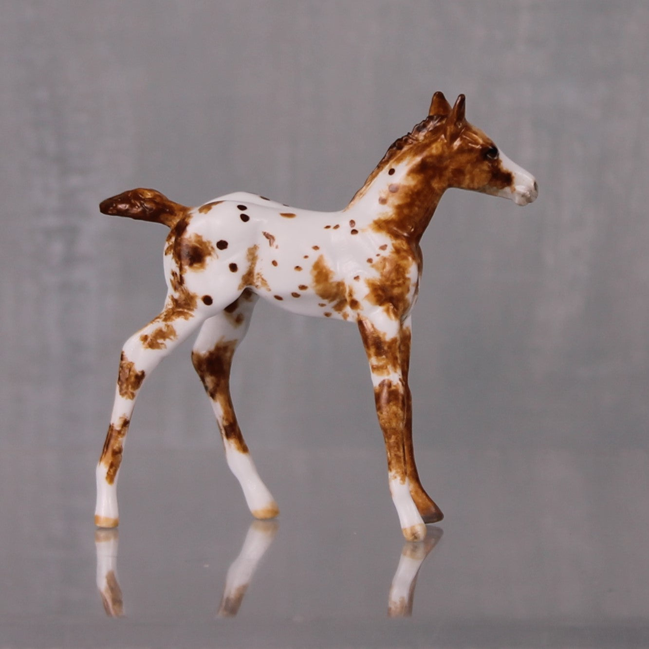 Toffee OOAK Customized Appaloosa Chip Foal By Andrea Thomason LHS24 MHP