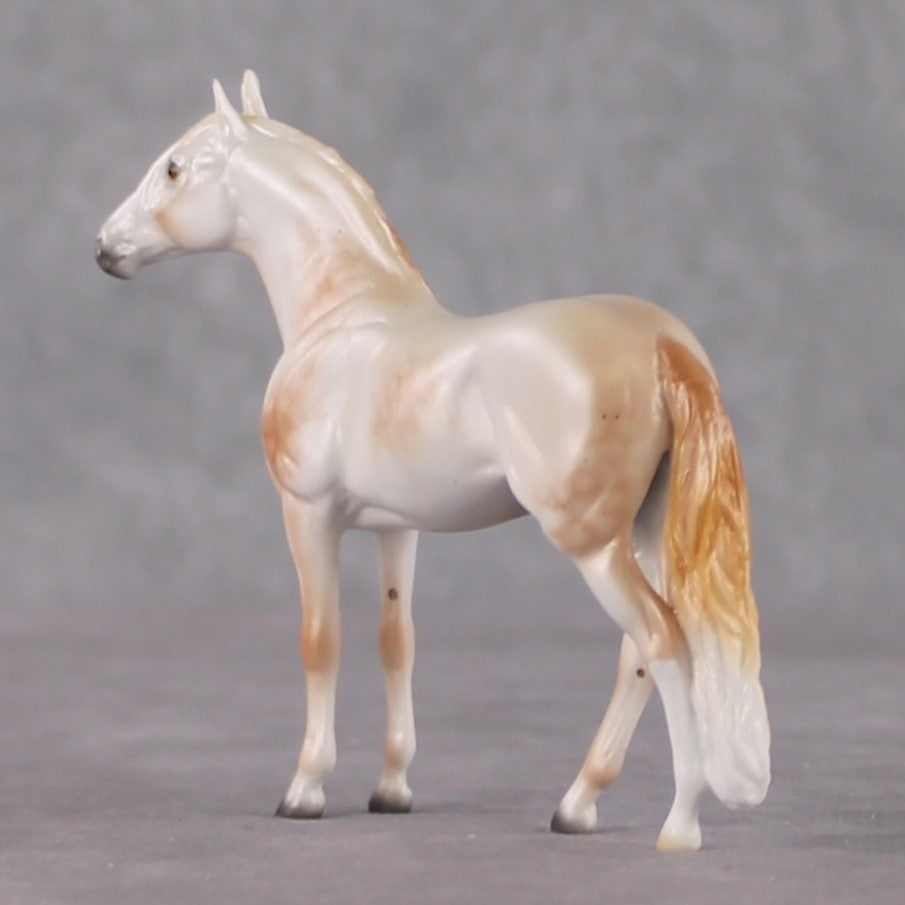 Andalusian Chip Grab Bag - January 2025 We've Got History Shakespeare Chips Painted By Ellen Robbins CL25