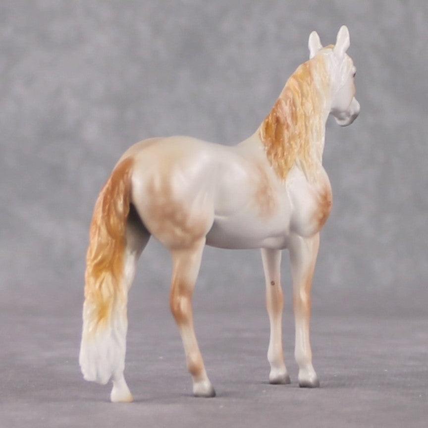 Andalusian Chip Grab Bag - January 2025 We've Got History Shakespeare Chips Painted By Ellen Robbins CL25