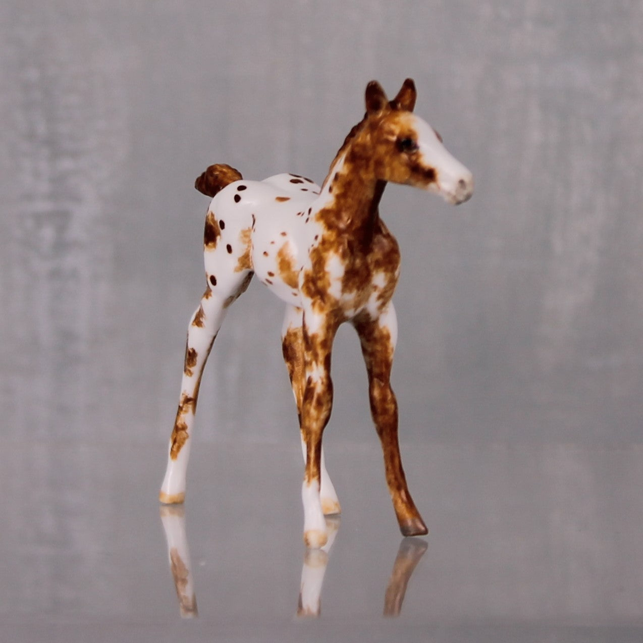 Toffee OOAK Customized Appaloosa Chip Foal By Andrea Thomason LHS24 MHP