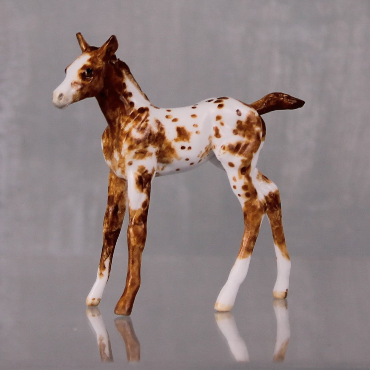 Toffee OOAK Customized Appaloosa Chip Foal By Andrea Thomason LHS24 MHP