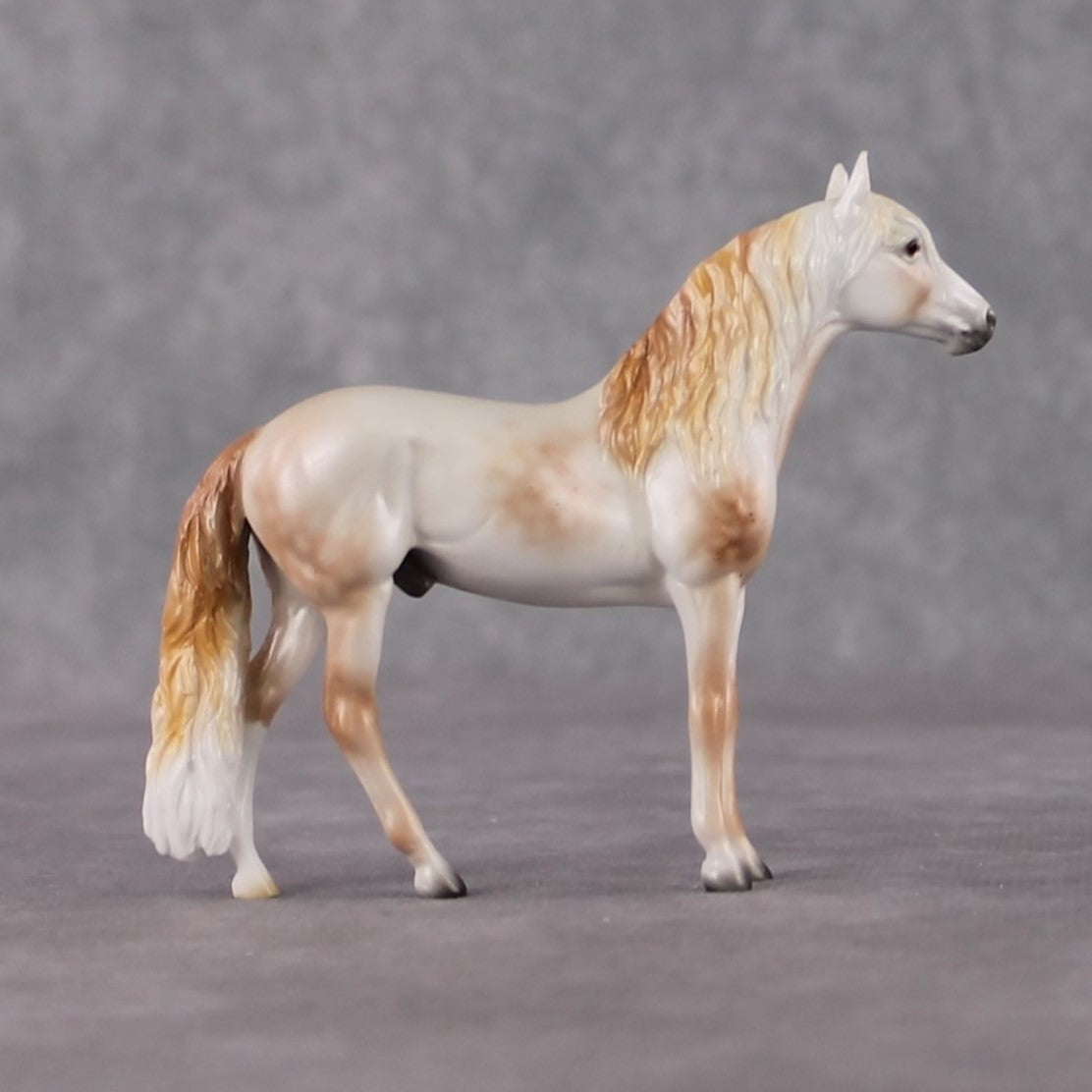 Andalusian Chip Grab Bag - January 2025 We've Got History Shakespeare Chips Painted By Ellen Robbins CL25