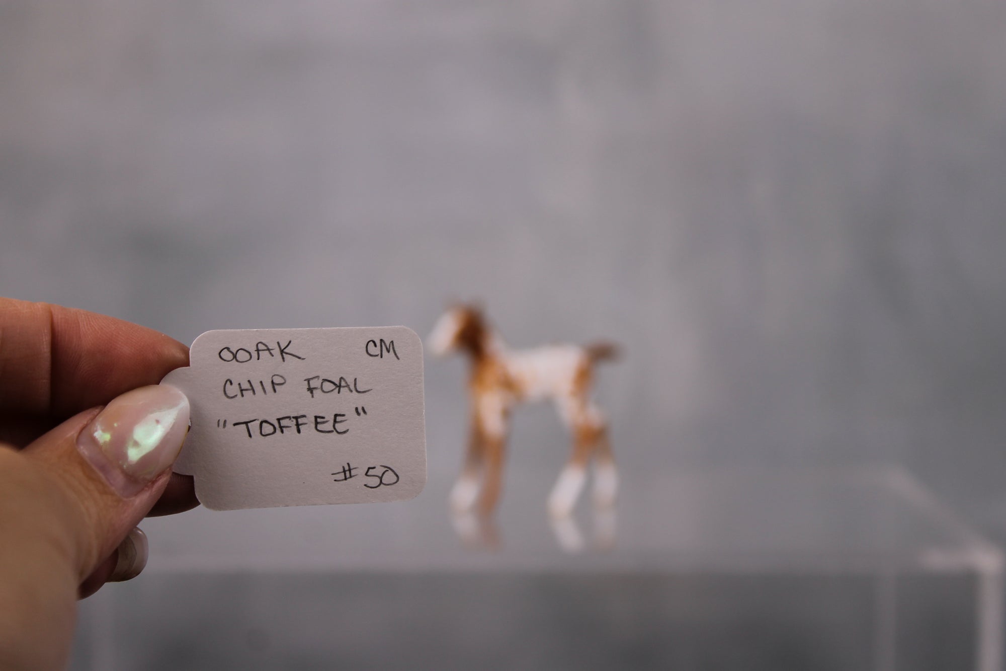 Toffee OOAK Customized Appaloosa Chip Foal By Andrea Thomason LHS24 MHP