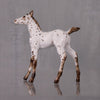 Pecan OOAK Customized Appaloosa Chip Foal By Andrea Thomason LHS24 MHP