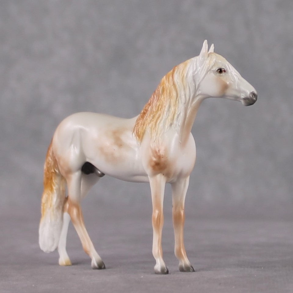 Andalusian Chip Grab Bag - January 2025 We've Got History Shakespeare Chips Painted By Ellen Robbins CL25