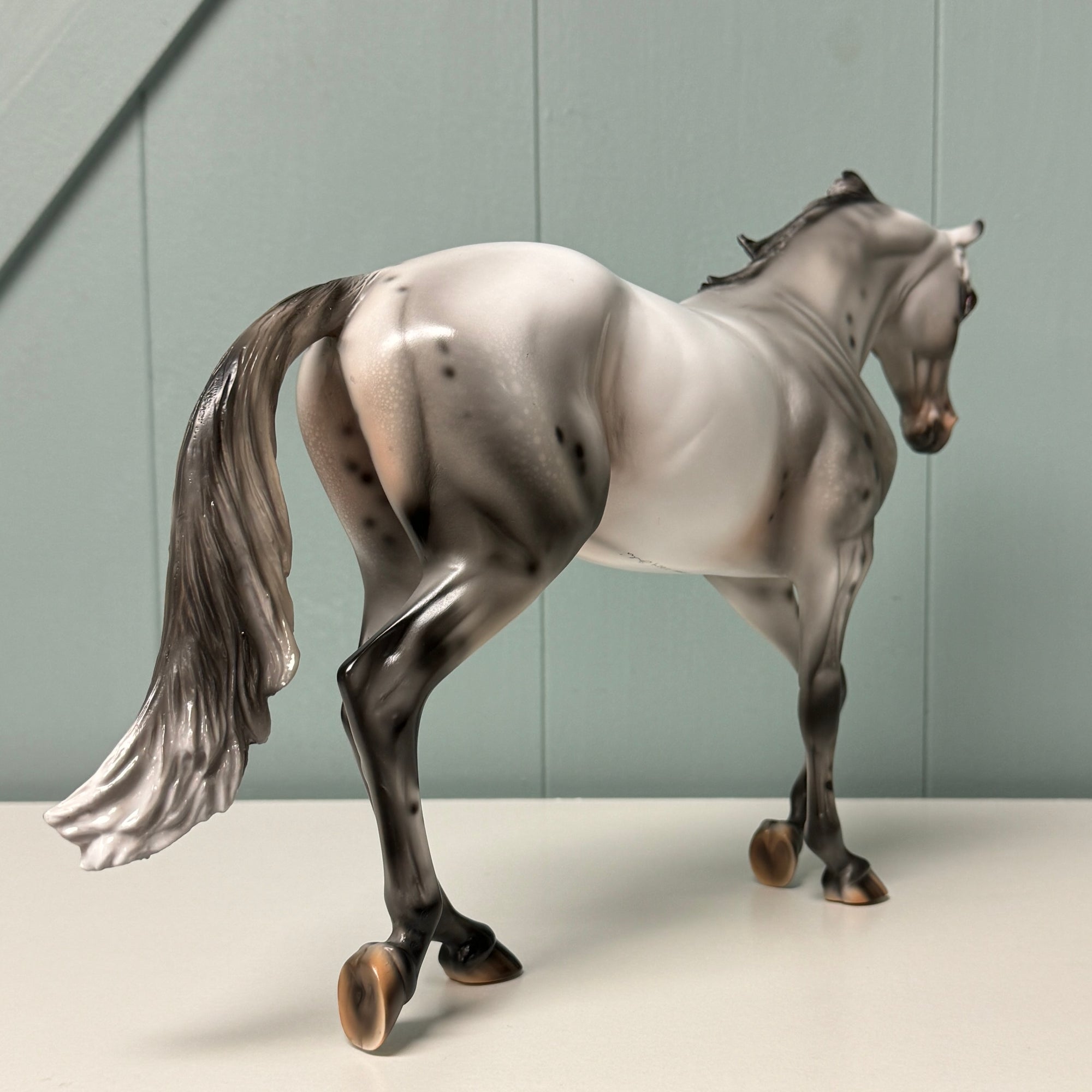 Clinker OOAK Black Few Spot Appaloosa Heavy Thoroughbred By Julie Keim EQ24