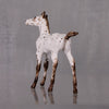 Pecan OOAK Customized Appaloosa Chip Foal By Andrea Thomason LHS24 MHP