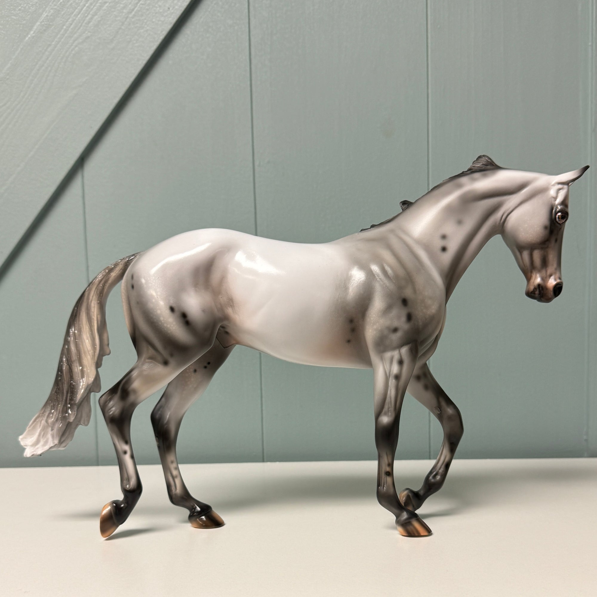 Clinker OOAK Black Few Spot Appaloosa Heavy Thoroughbred By Julie Keim EQ24