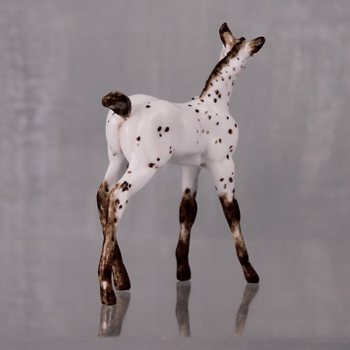 Pecan OOAK Customized Appaloosa Chip Foal By Andrea Thomason LHS24 MHP